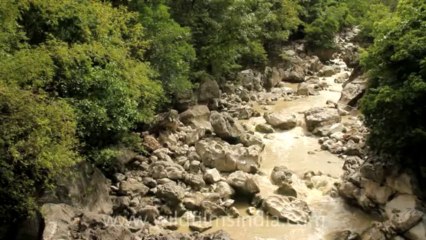 Timor-Wildlife-Landscape-7