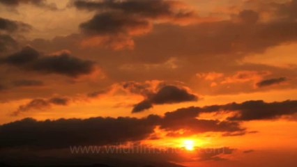 Timor-Wildlife-Timelapses-2