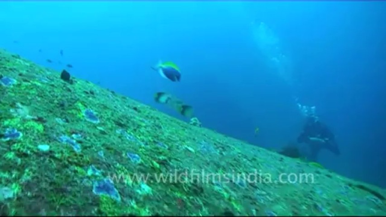 Under water-8