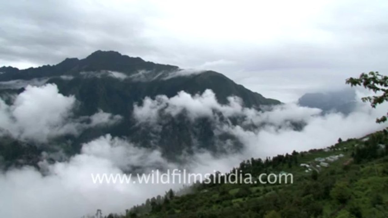 Badrinath-3