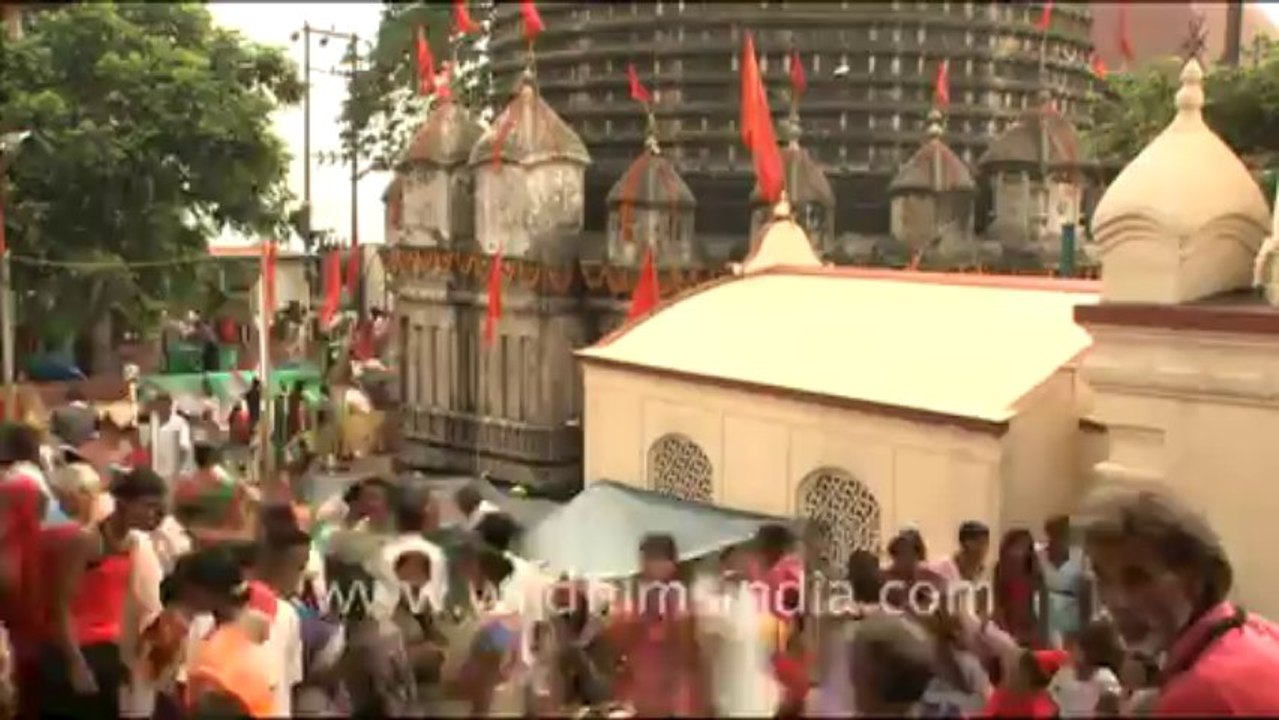 Blinkx-assam-63
