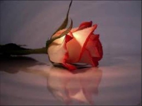 AHMET KAYA FERHAT TUNC Bu Yurek Bu Sevda