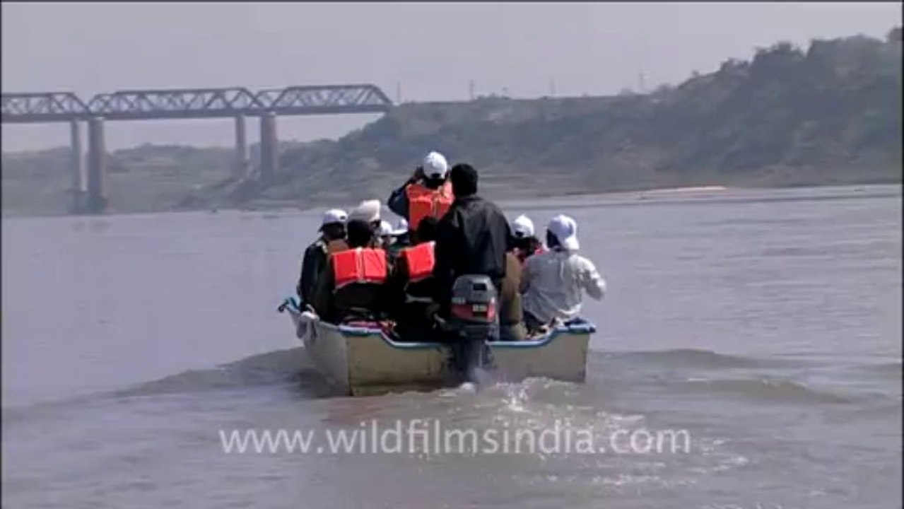 Chambal-7