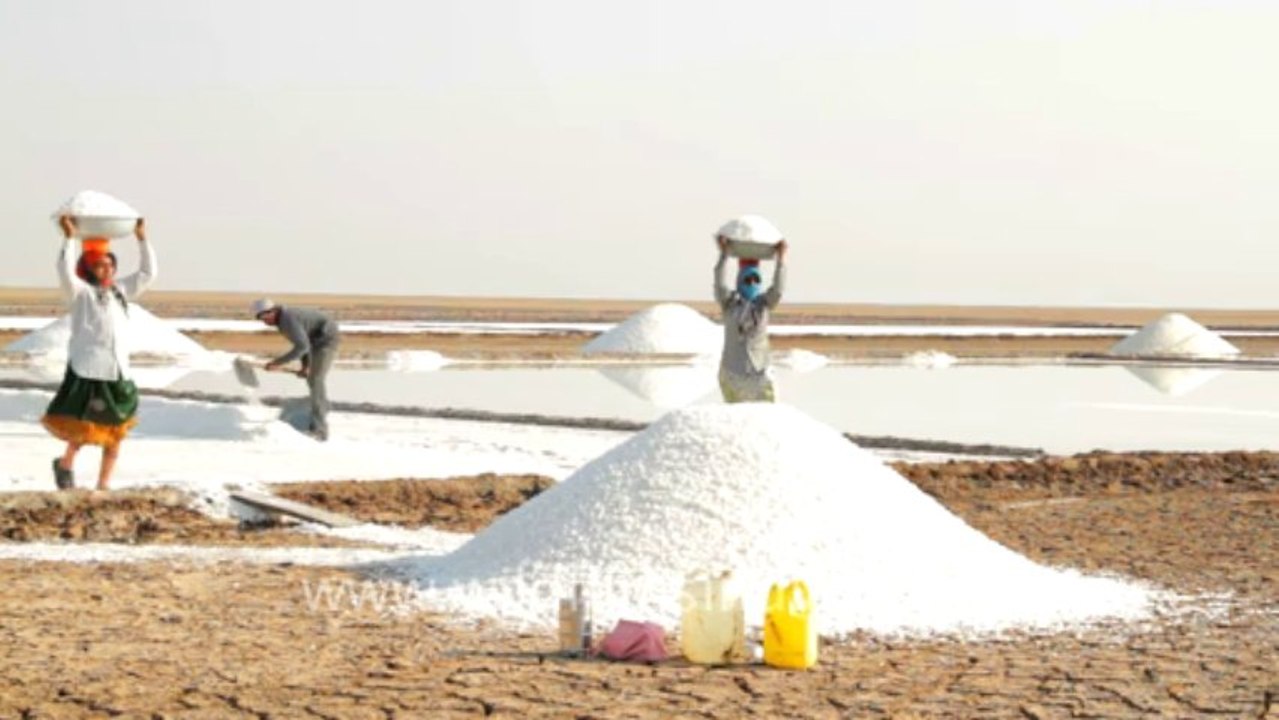 Gujarat-Salt making
