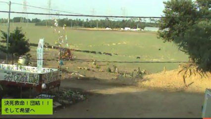 2013-08-19 16-18-36-479⑪牛の列　ガガ