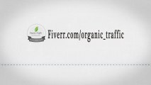 Using Fiverr To Get Real Organic Traffic To Your Website