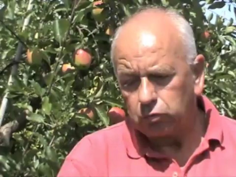 Les Vergers de Thiérache "écoresponsables" à Boué