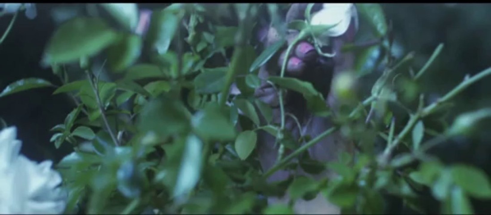 Broken Social Scene - Sweetest Kill