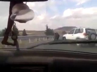 Taureau sur l'autoroute (Espagne)