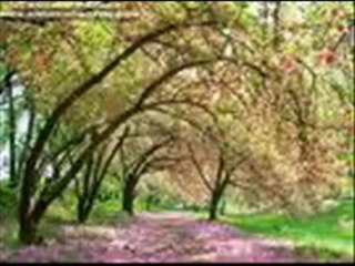 IQBAL BANO - TERE KHAYAL SE