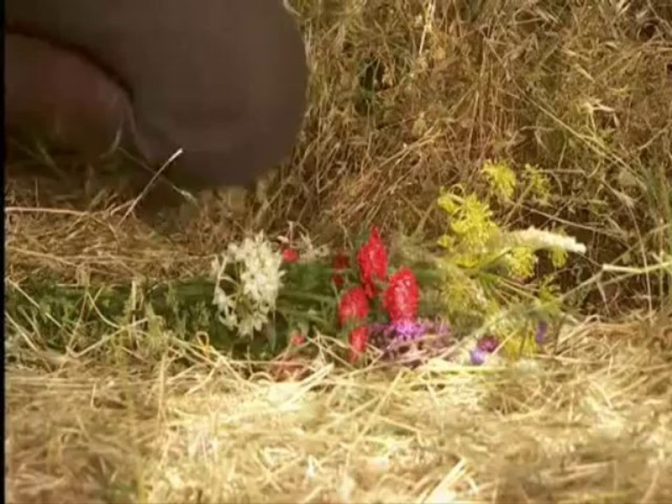 TRISTAN PEPA NUNCA TE OLVIDARE ESDPV 22-08-2013