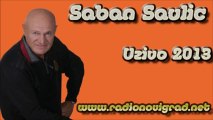 Saban Saulic - Eh sto nisam lancic mali (Uzivo 2013) HD