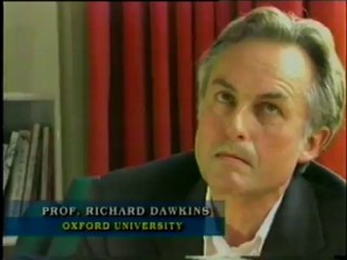 Təkamül nəzəriyyəsinin süqutu 3/6