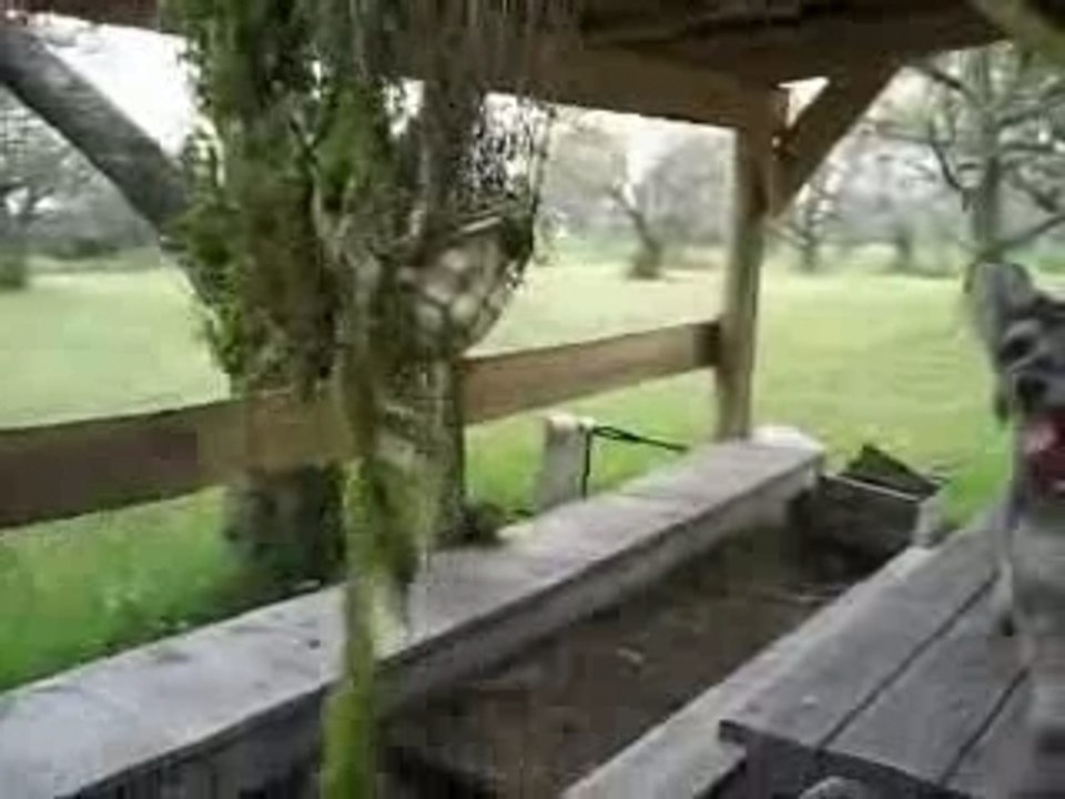 screaming frog