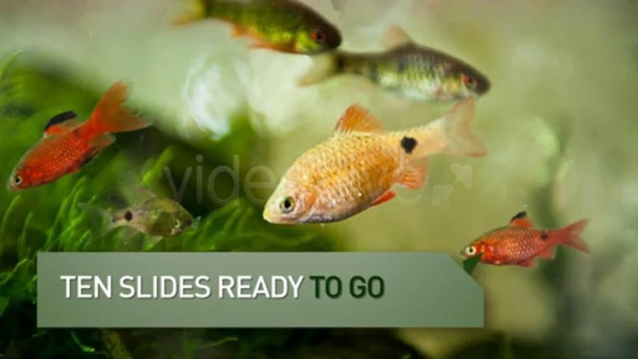 Triangulate Slideshow - After Effects Template