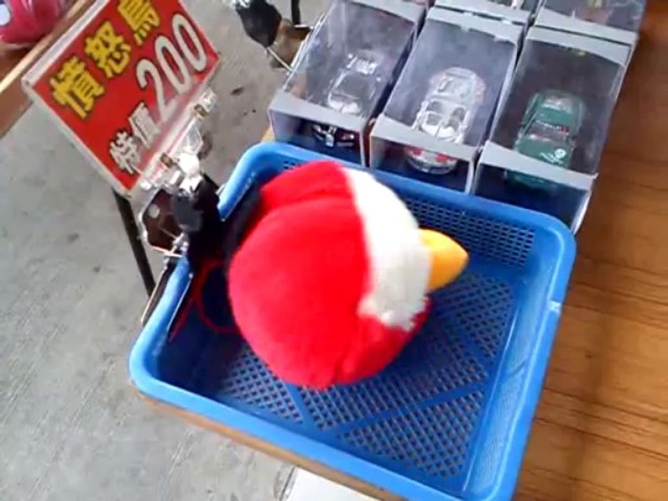 angry bird