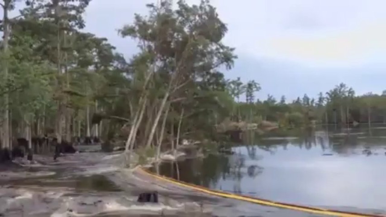 Sinkhole Swallows Up Trees in Louisiana Bayou Corne Giant