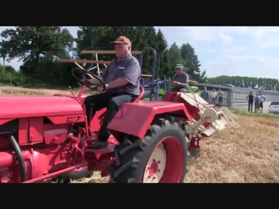 fauchage La Neuville les Dorengt 20 août 2013