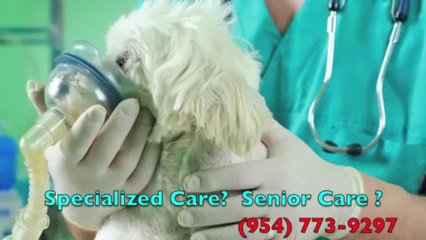Emergency Vet Fort Lauderdale FL