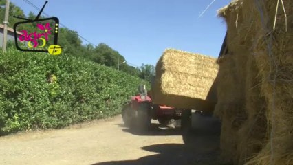 JT agri85TV du vendredi 23 août 2013