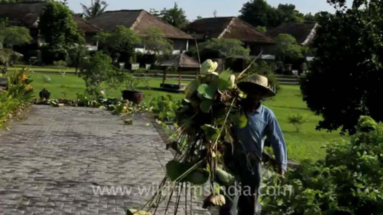 Indonesia-Bali-Uluwatu NN-2