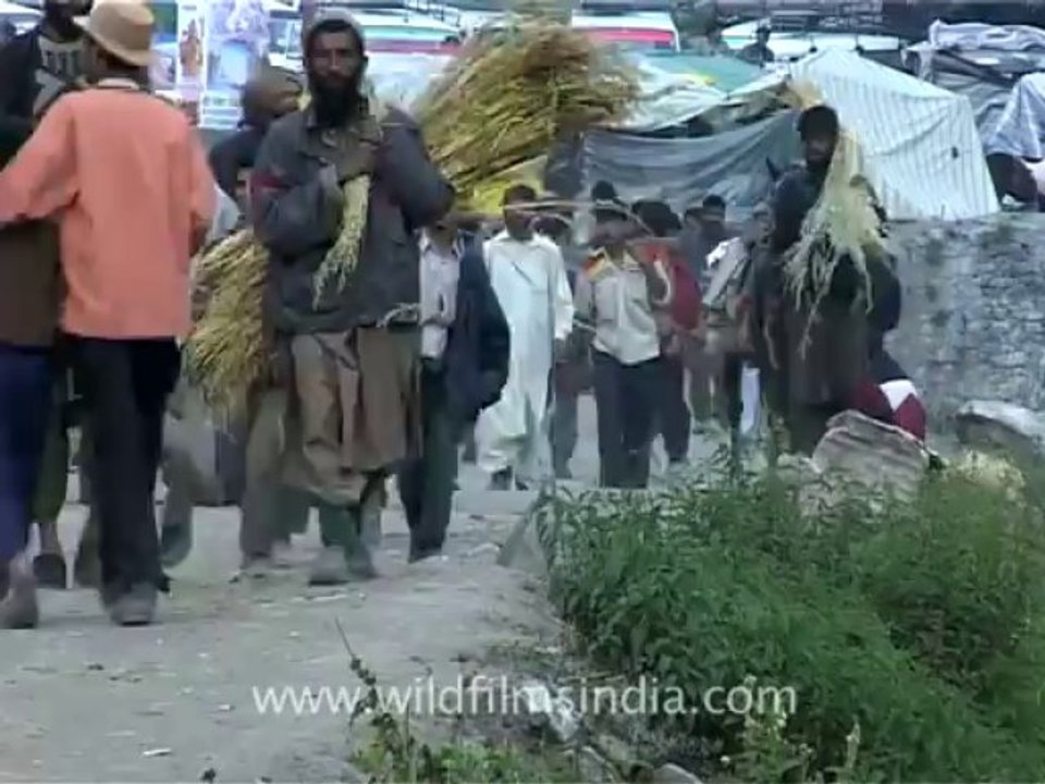 j&k amarnath-5-1