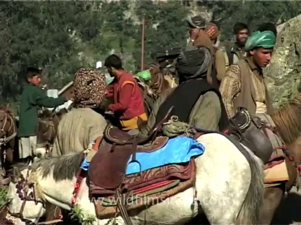 j&k amarnath-8-1