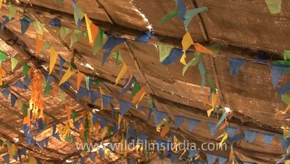 Rann-of-kutch-hdv-tape-4-Desert school-1