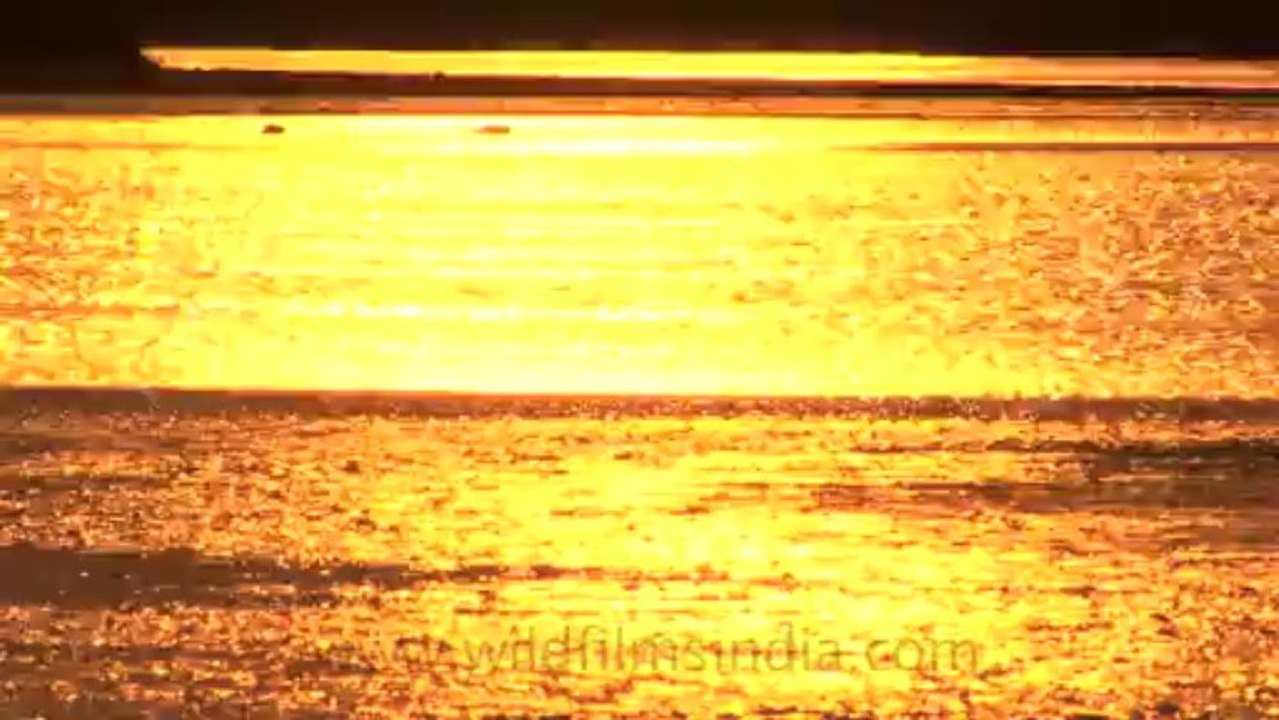 Rann-of-kutch-hdv-tape-5-river