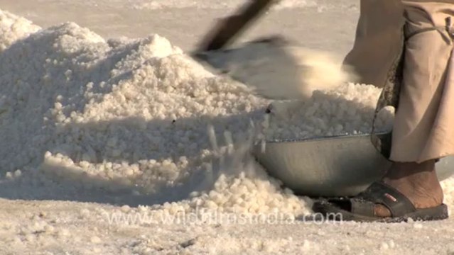 Rann-of-kutch-hdv-tape-6-salt workers-1