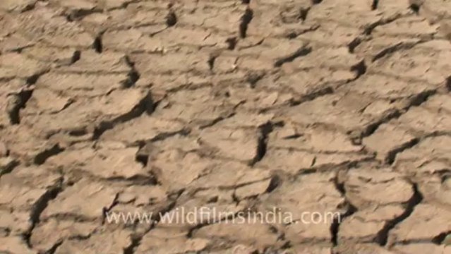 Rann-of-kutch-hdv-tape-6-salt workers-3