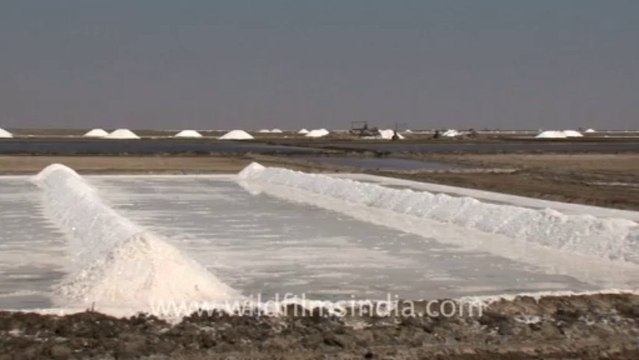 Rann-of-kutch-hdv-tape-7-crystallization of salt-3