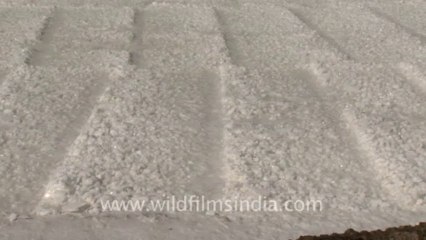 Rann-of-kutch-hdv-tape-7-salt-1
