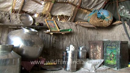 Rann-of-kutch-hdv-tape-7-villagers tea-1