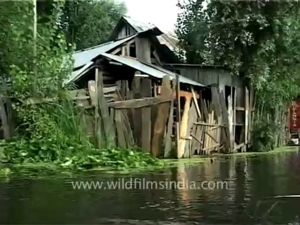 Srinagar-dallake-2