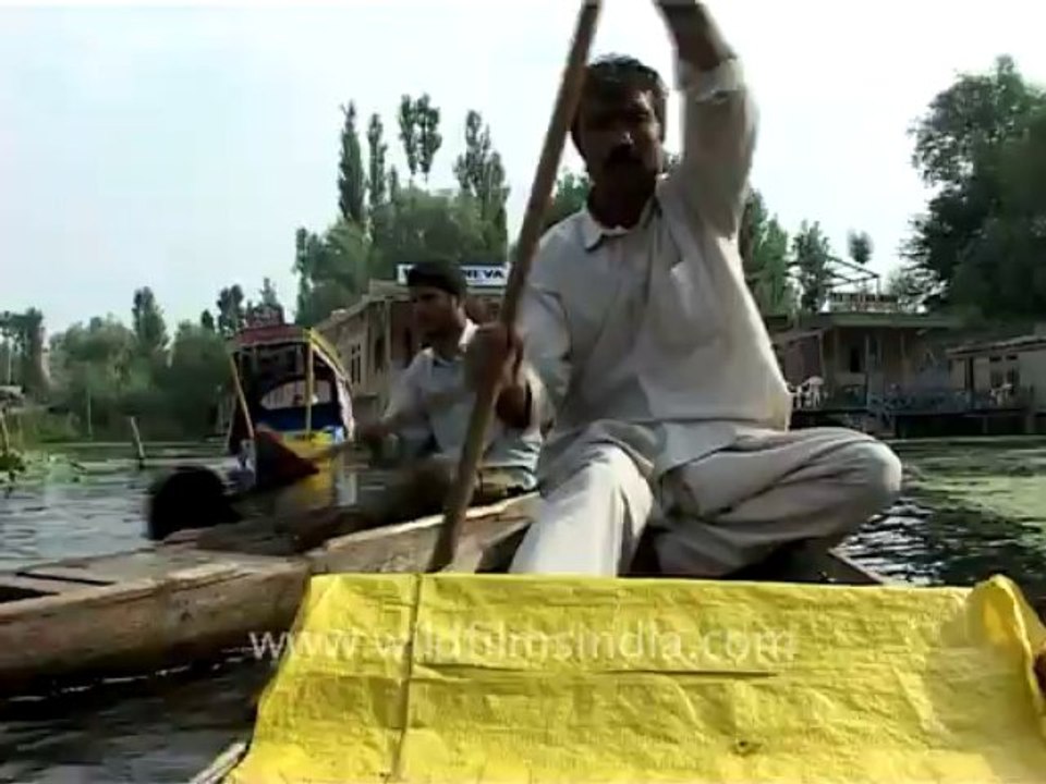 Srinagar-dallake-4