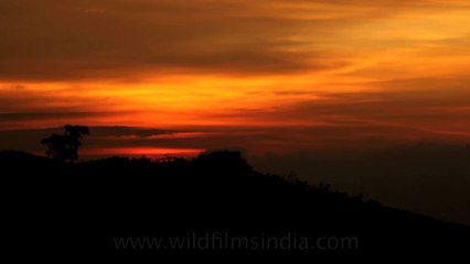 Timor-Wildlife-Landscape-23