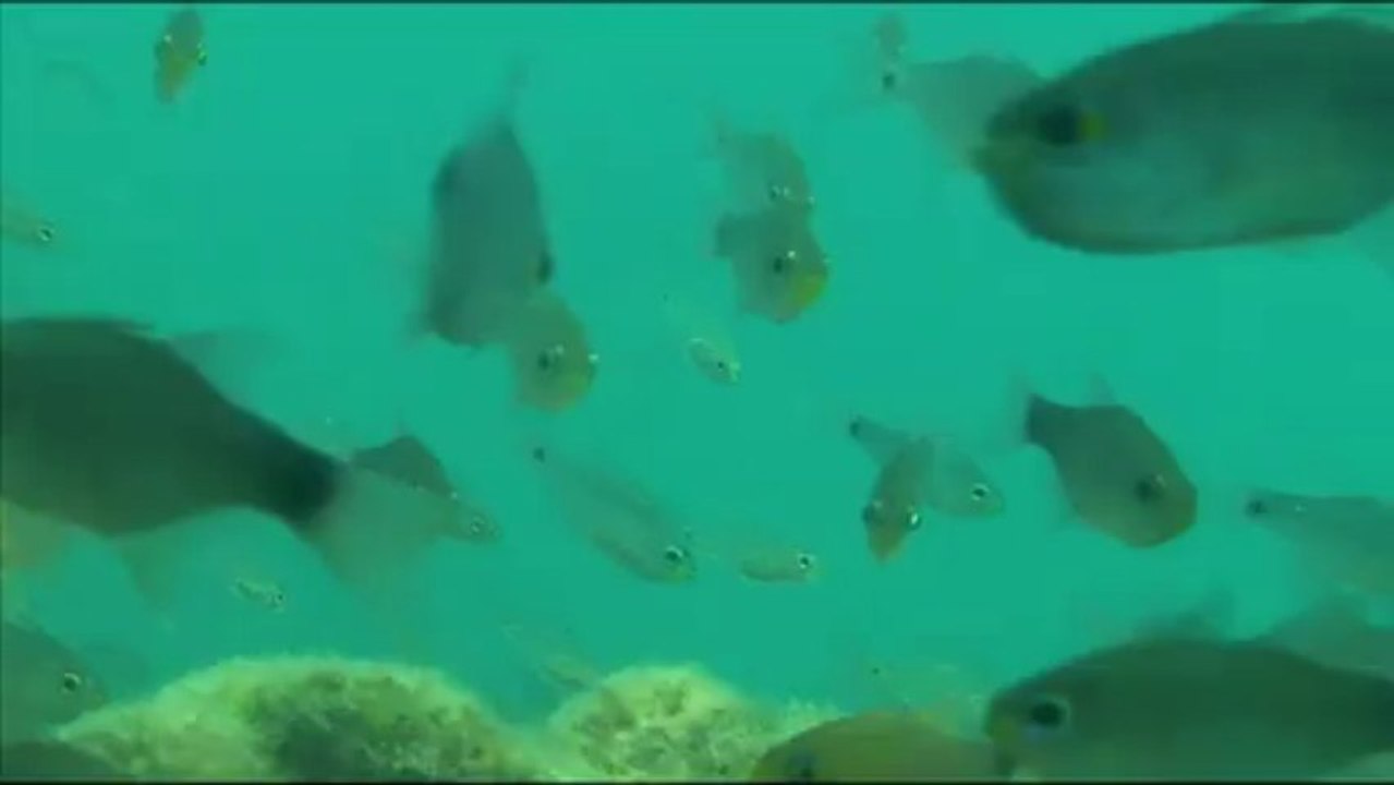 Under water_tape_3a-00-56-56-06