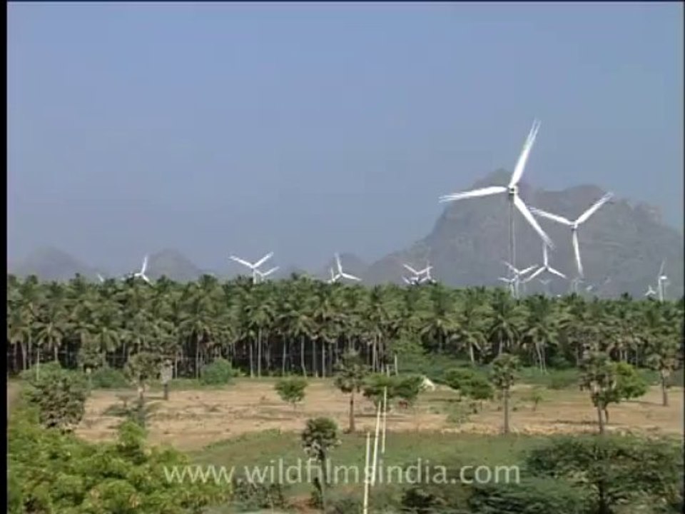 wind mills