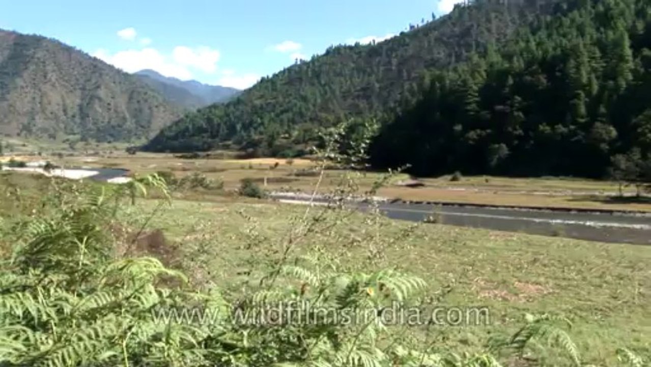 Arunachal-river-hdv-169-1