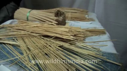 Chapchar Kut-fx-1-hdv-30