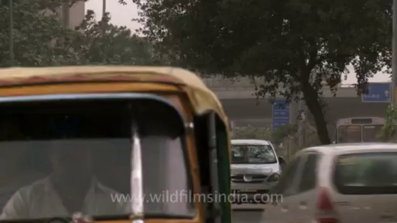Delhi-rain-4