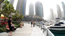 dubai marina, water boats