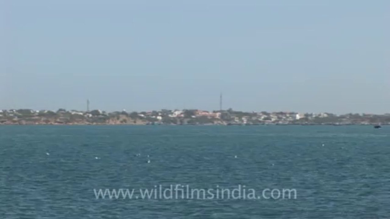 Dwarka-27