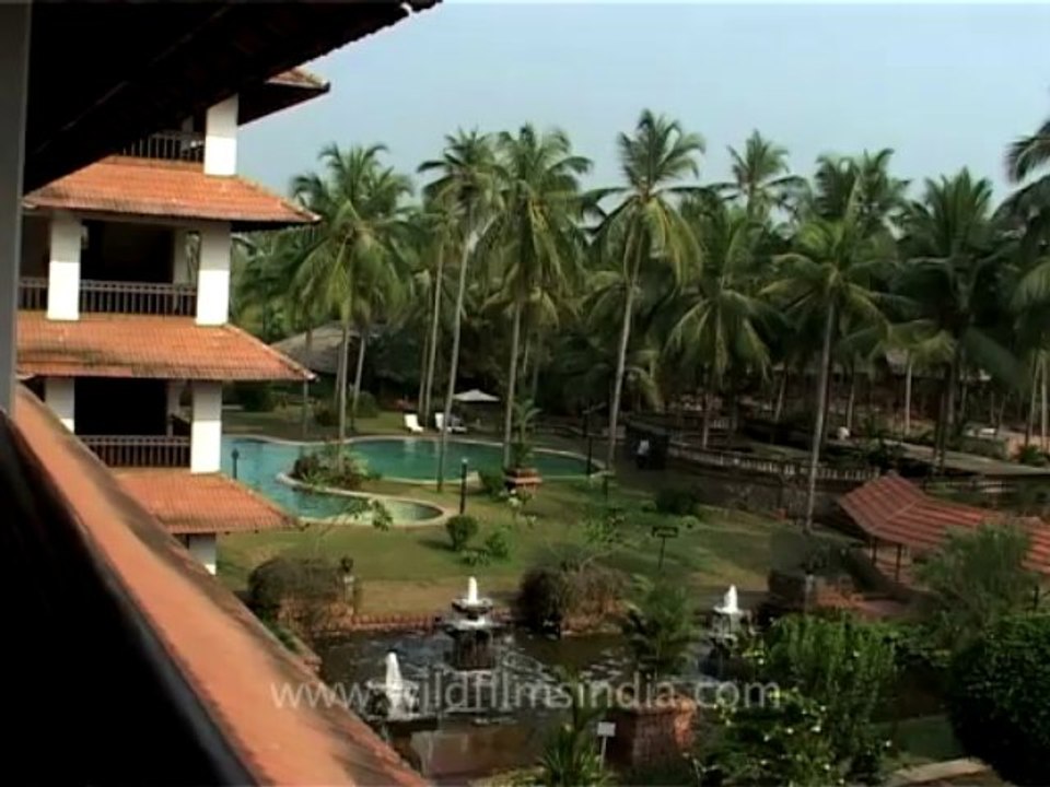 Kerala-backwaters-11