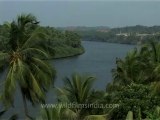 Kerala-backwaters-3