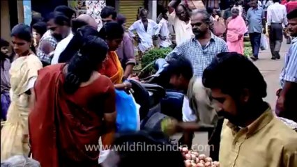 Kerala-trivandrum-14