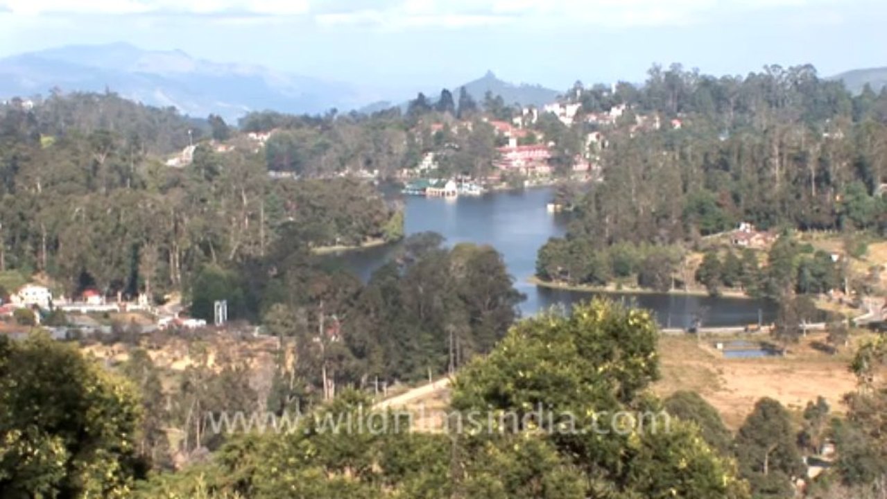 Kodaikanal-10-landscape
