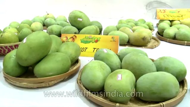 Mango festival-dilli haat-pitampura-6