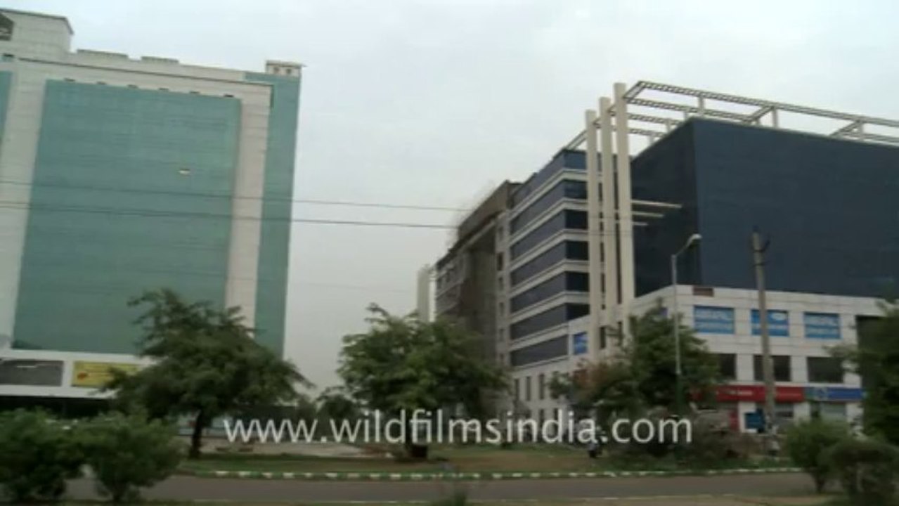 Maruti-21